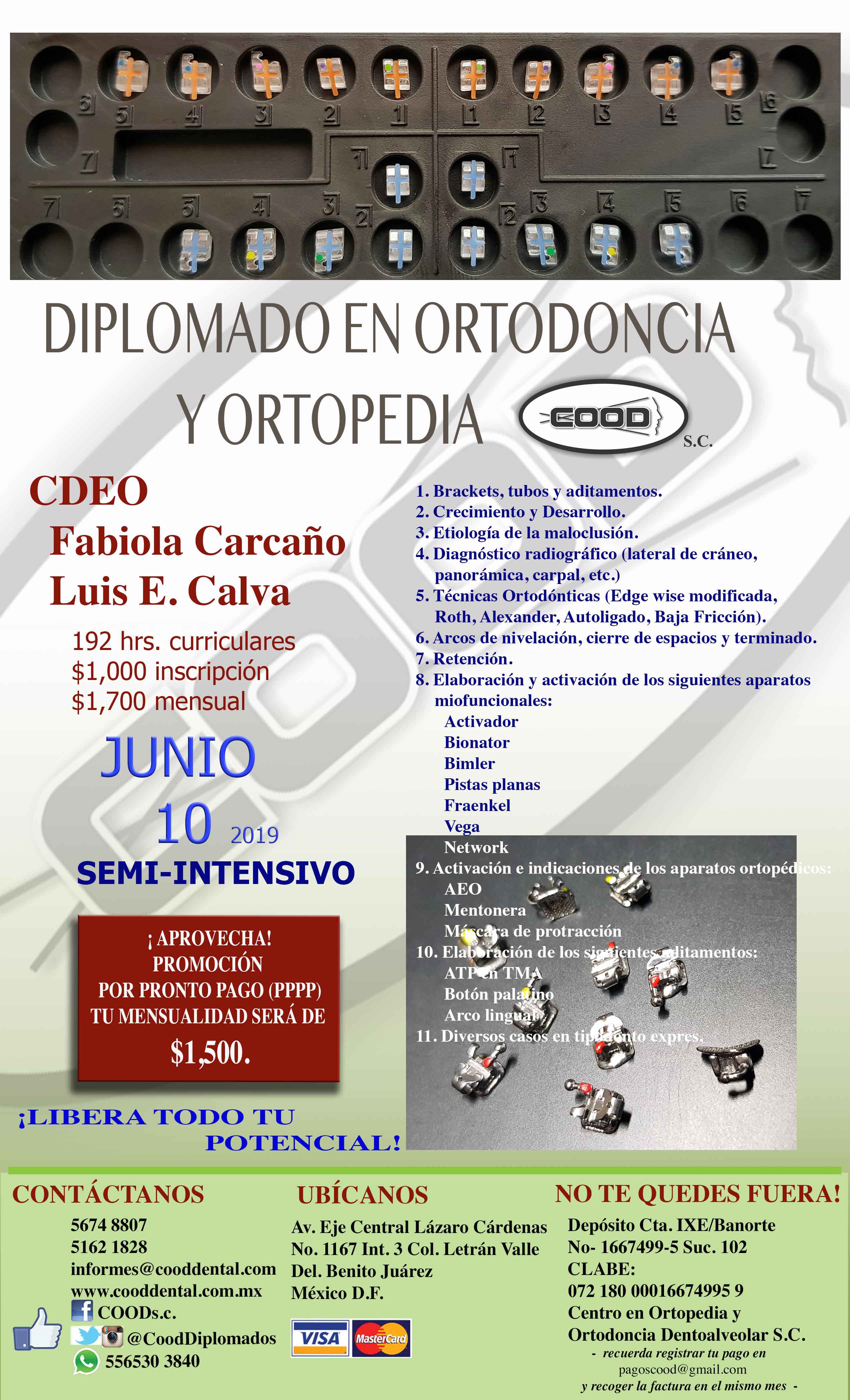JUNIO-10-ORTO-LOW JUNIO-10-ORTO-LOW