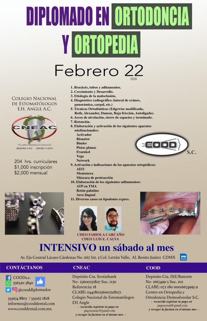ORTO INTENSIVO FEB 22 ORTO INTENSIVO FEB 22