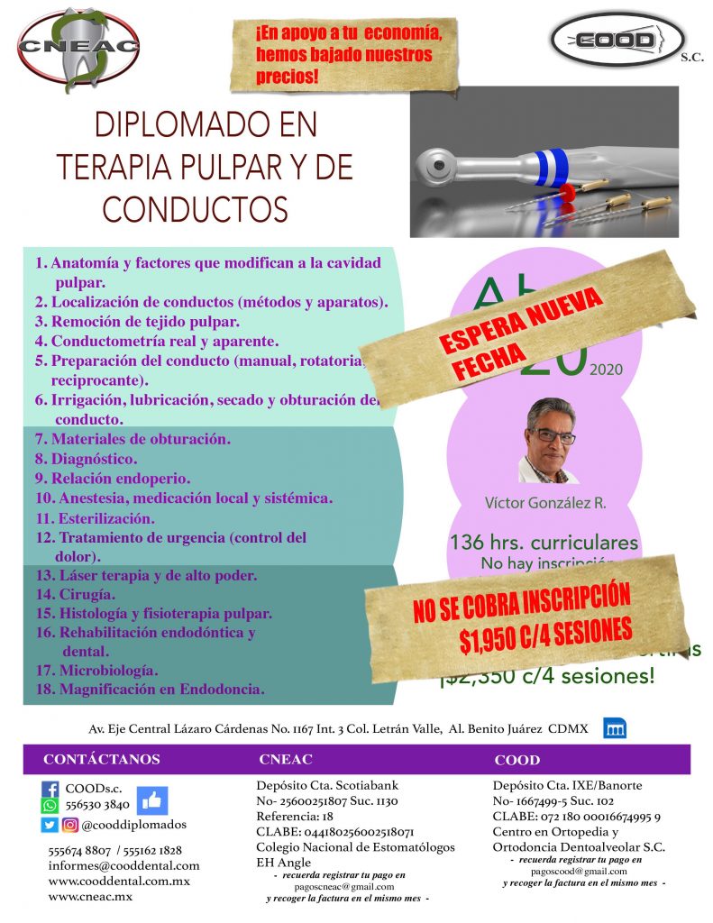 ENDO NVA FECHA ENDO NVA FECHA