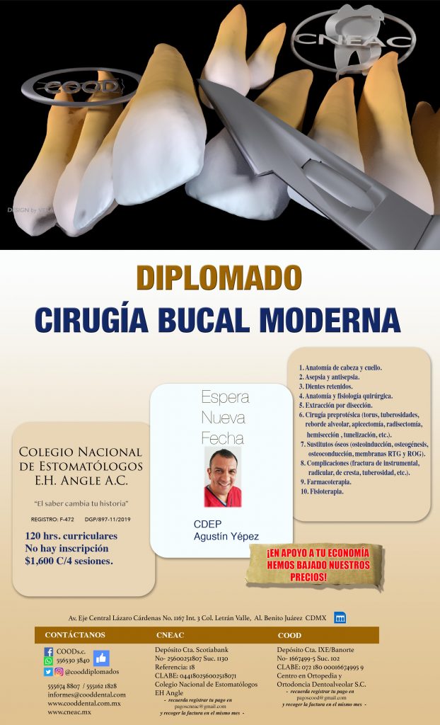 QX NVA FECHA QX NVA FECHA