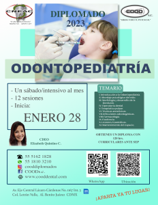 PED 28 ENE sabatino 2023