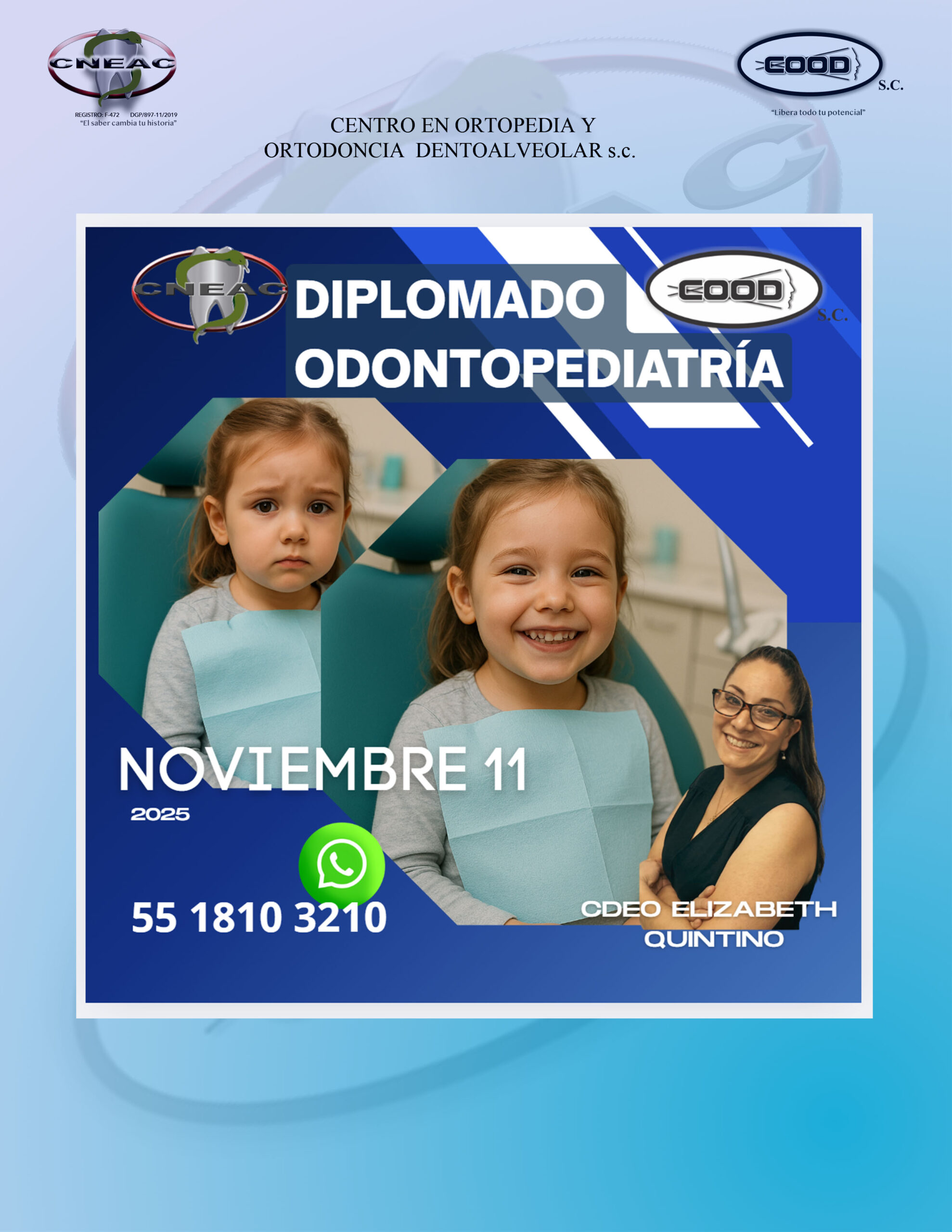 PED BAN 11 NOV 2025