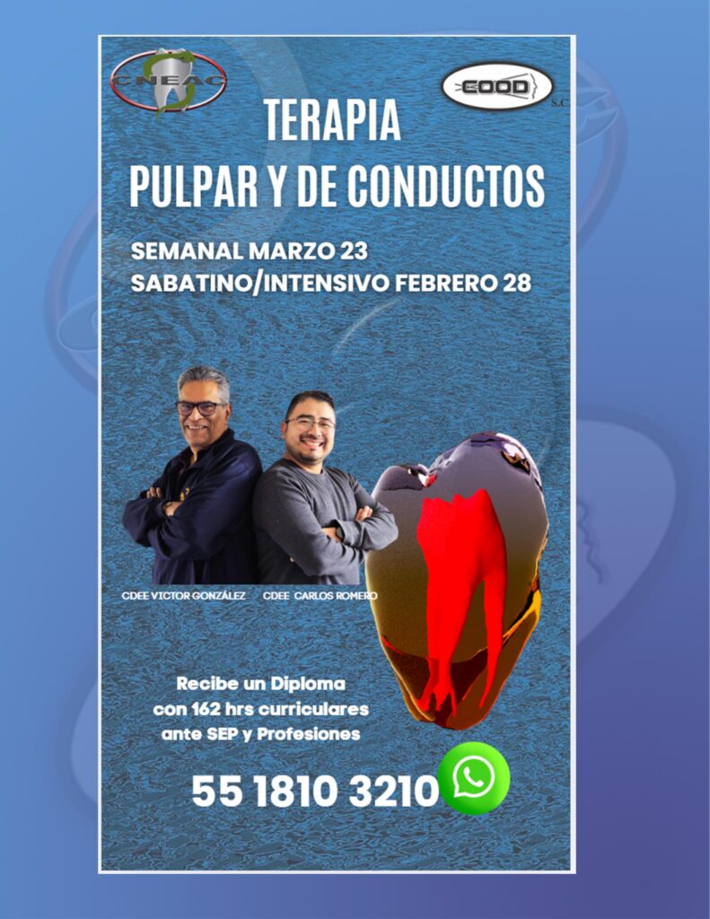 ENDO BAN 23 MAR 28 FEB sab 26